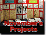 November Coalition Projects
